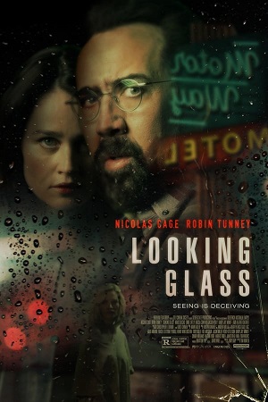 Download Looking Glass (2018) BluRay [Hindi + English] ESub 480p 720p