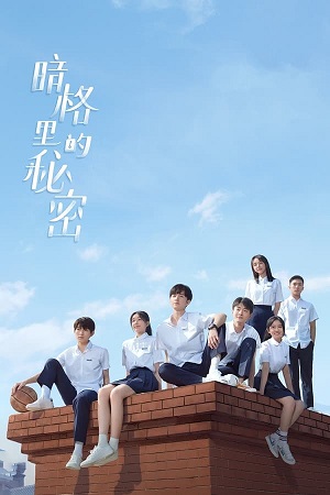 Download Our Secret (2021) Season 1 WebRip [Hindi + Chinese] S01 ESub 720p - Complete