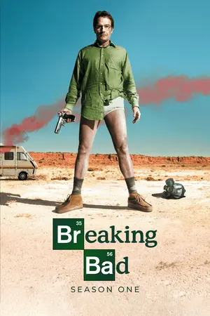 Download Breaking Bad (2008) Season 1 BluRay [Hindi + English] S01 ESub 480p 720p - Complete