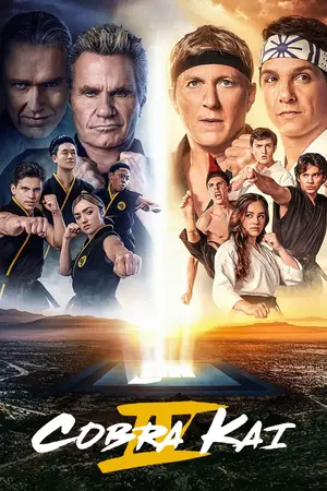 Download Cobra Kai (2021) Season 4 WebRip [Hindi + English] S04 ESub 480p 720p - Complete