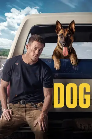 Download Dog (2022) WebRip [Hindi + Tamil + Telugu + English] ESub 480p 720p