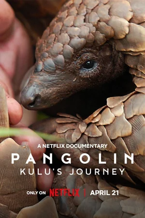 Download Pangolin Kulu's Journey (2025) WebRip [Hindi + English] ESub 480p 720p