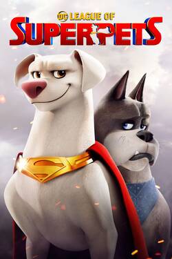 DC League of Super-Pets (2022) WebRip [Hindi + Tamil + Telugu + English] 480p 720p 1080p 2160p-4K Download - Watch Online