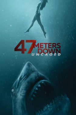 Download 47 Meters Down: Uncaged (2019) BluRay [Hindi + English] ESub 480p 720p