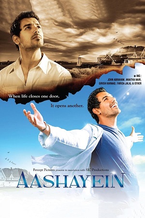 Download Aashayein (2010) WebRip Hindi ESub 480p 720p