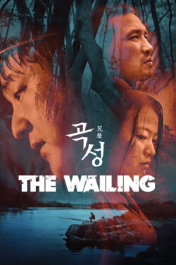 Download The Wailing (2016) WebRip [Hindi + Tamil + Telugu + English] ESub 480p 720p 1080p